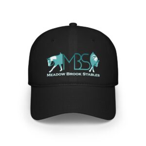 MBS Logo - Low Profile Baseball Cap