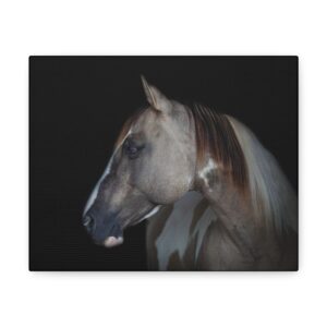 Support Rio - Canvas Gallery Wraps