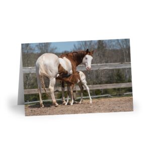 Trashy & El - Greeting Cards (1 or 10-pcs)