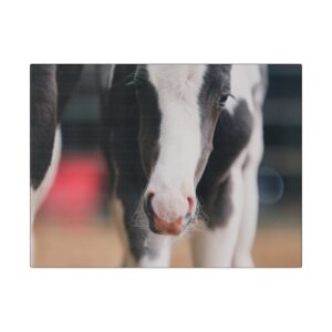Fergus - Matte Canvas, Stretched, 0.75"