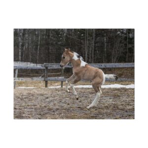 Beny - Matte Canvas, Stretched, 0.75"